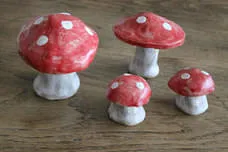 Pilze Bild 0