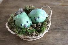 Vögel Bild 8