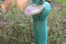 Vogelköpfe Bild 5