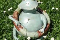 Frösche Bild 2