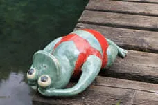 Frösche Bild 4