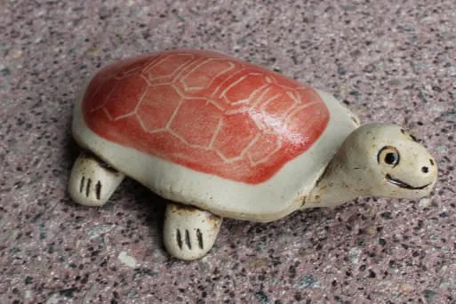 Schildkroete-klein Schildkroete-klein