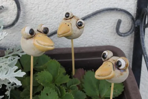 Vogelkopf-klein Vogelkopf-klein