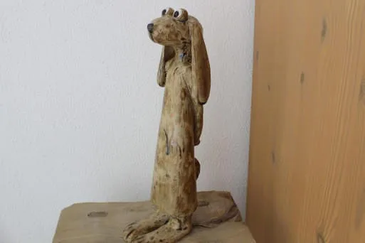Hase Hase