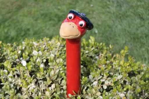 Vogelkopf-rot-mit-Hut Vogelkopf-rot-mit-Hut